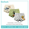 Biofresh Boys' Antimicrobial Cotton Boxer Brief 3 pieces in a pack UCBBG523