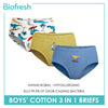 Biofresh Boys' Antimicrobial Cotton Brief 3 pieces in a pack UCBCG521