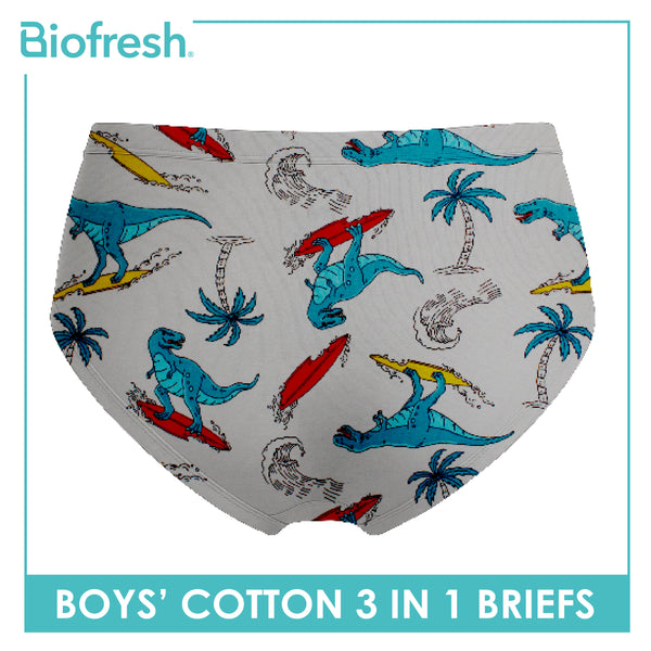 Biofresh Boys' Antimicrobial Cotton Brief 3 pieces in a pack UCBCG521
