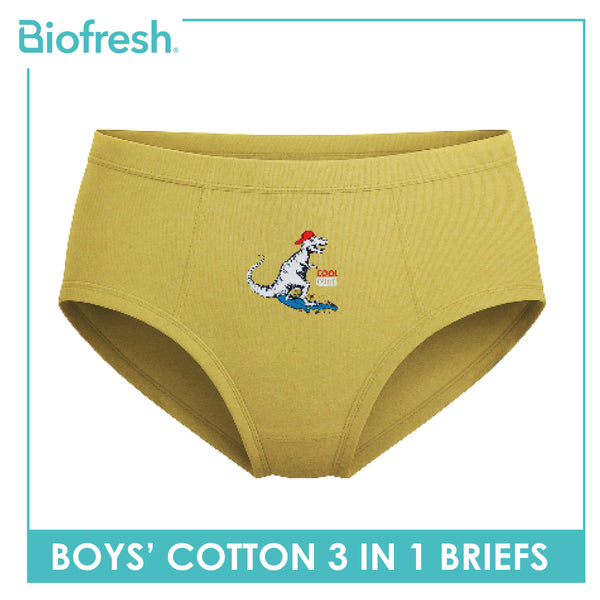 Biofresh Boys' Antimicrobial Cotton Brief 3 pieces in a pack UCBCG521