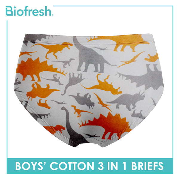 Biofresh Boys' Antimicrobial Cotton Brief 3 pieces in a pack UCBCG522