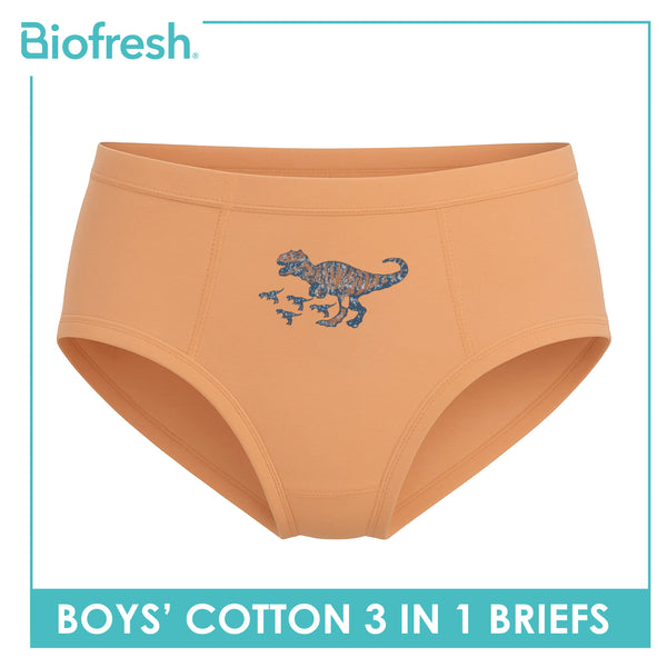 Biofresh Boys' Antimicrobial Cotton Brief 3 pieces in a pack UCBCG522