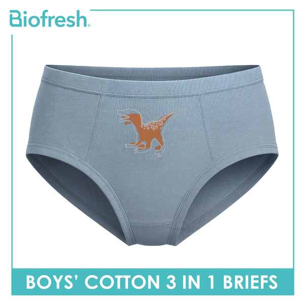 Biofresh Boys' Antimicrobial Cotton Brief 3 pieces in a pack UCBCG522