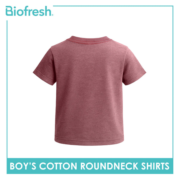 Biofresh Boy's Antimicrobial Cotton Roundneck Shirt 1 piece UCSR521
