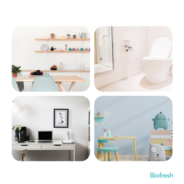 Biofresh Home RHMDS0401 Disinfectant Spray (4819930447977)