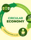 The Surprising Impact of Circular Economy on the Environment