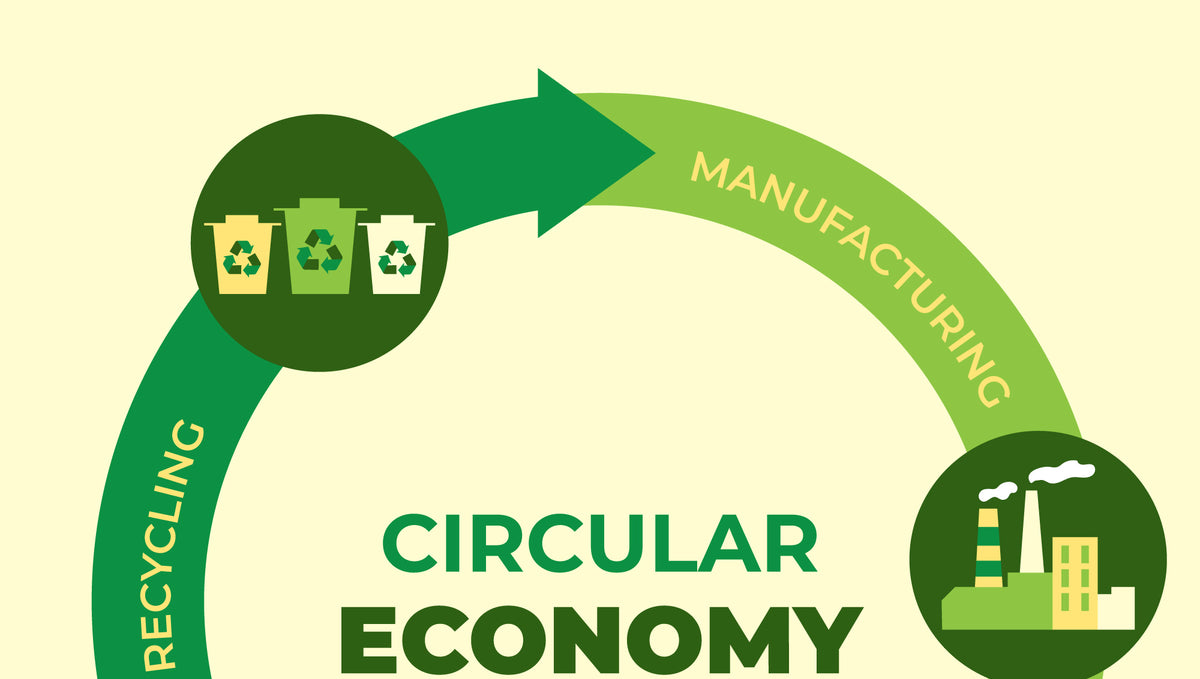 The Surprising Impact of Circular Economy on the Environment