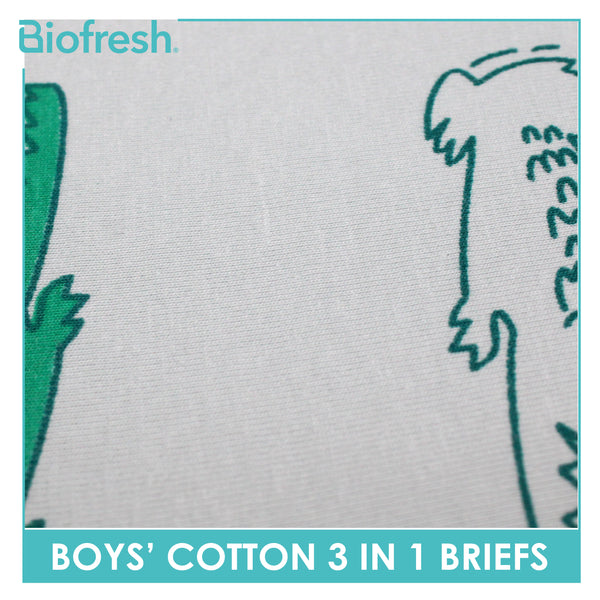 Biofresh Boys' Antimicrobial Cotton Brief 3 pieces in a pack UCBCG523