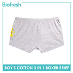 Biofresh | Pokemon Boys’ Antimicrobial Cotton Boxer Brief 3 pieces in a pack PKBBBG531