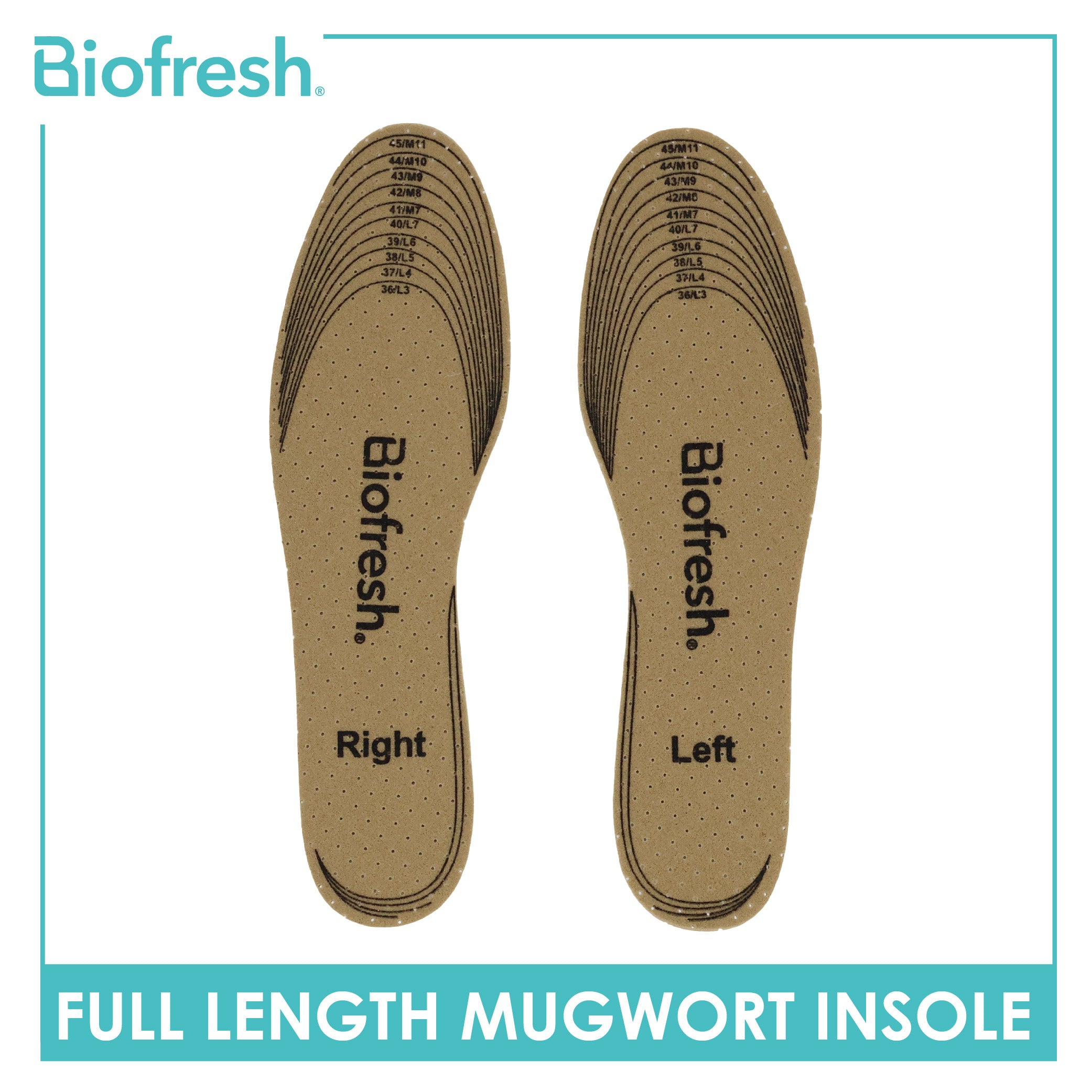 Biofresh Full Length Mugwort Fresh Insole 1 pair FMG24/ FLG24