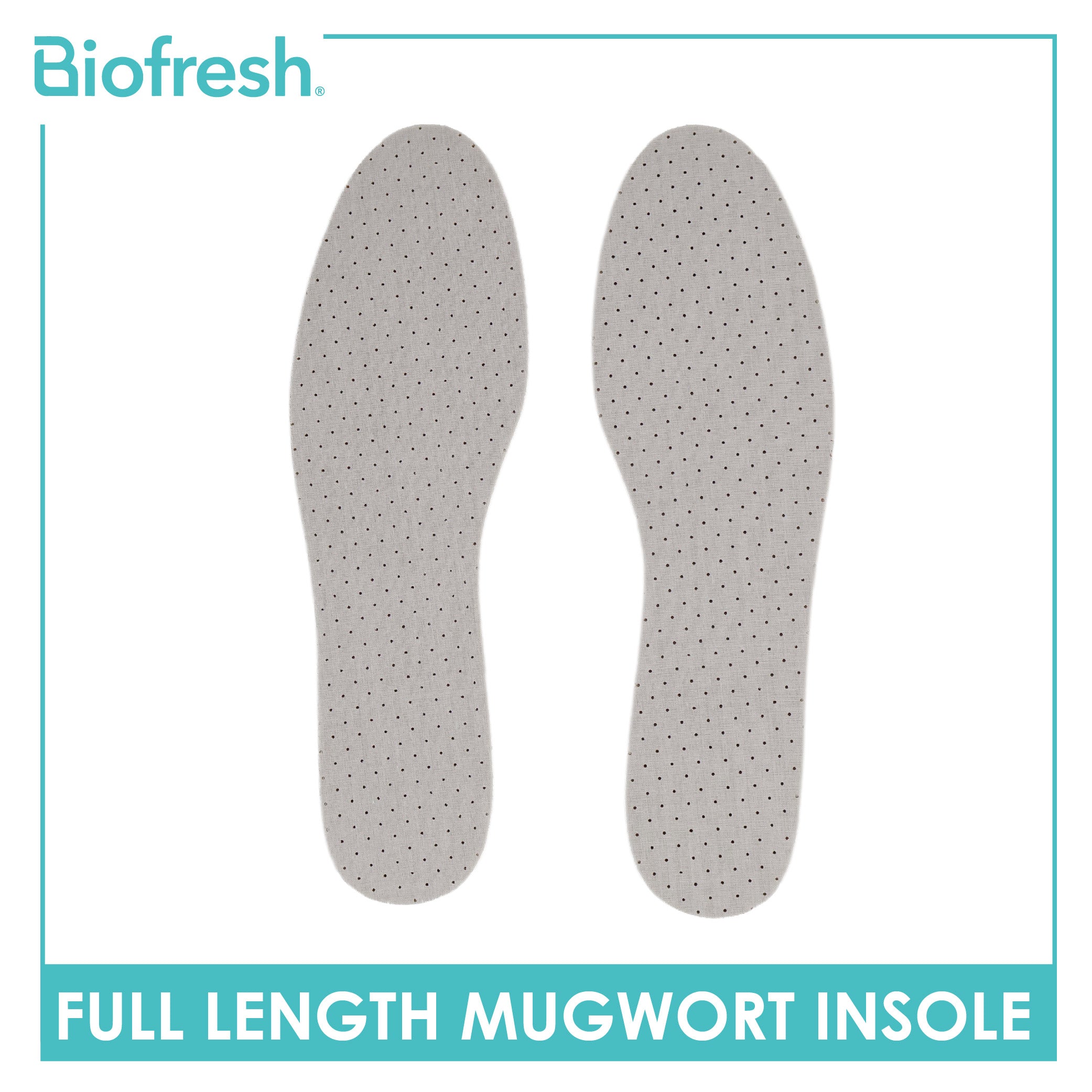 Biofresh Full Length Mugwort Fresh Insole 1 pair FMG24/ FLG24