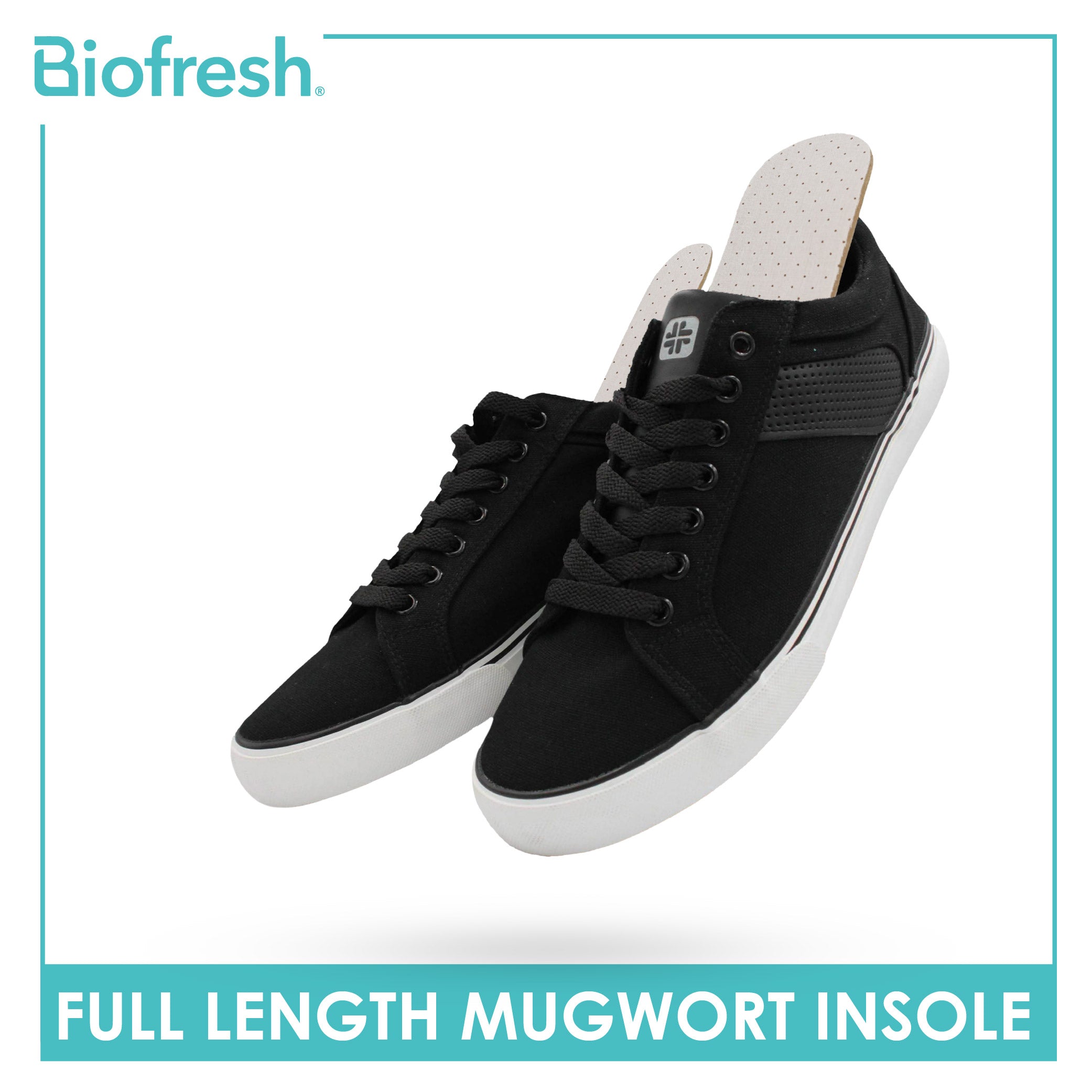 Biofresh Full Length Mugwort Fresh Insole 1 pair FMG24/ FLG24