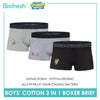 Biofresh | SpongeBob Boys' Antimicrobial Cotton Boxer Brief 3 pieces in a pack SBBBBG512
