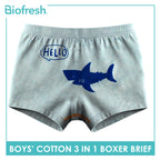 Biofresh Boys' Antimicrobial Cotton Boxer Brief 3 pieces in a pack UCBBG521