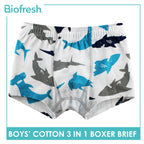 Biofresh Boys' Antimicrobial Cotton Boxer Brief 3 pieces in a pack UCBBG521
