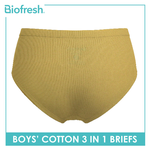Biofresh Boys' Antimicrobial Cotton Brief 3 pieces in a pack UCBCG521