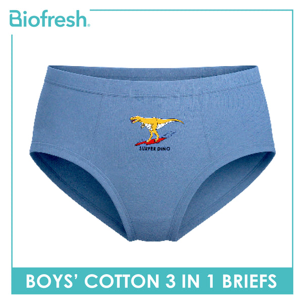 Biofresh Boys' Antimicrobial Cotton Brief 3 pieces in a pack UCBCG521