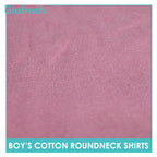 Biofresh Boy's Antimicrobial Cotton Roundneck Shirt 1 piece UCSR521