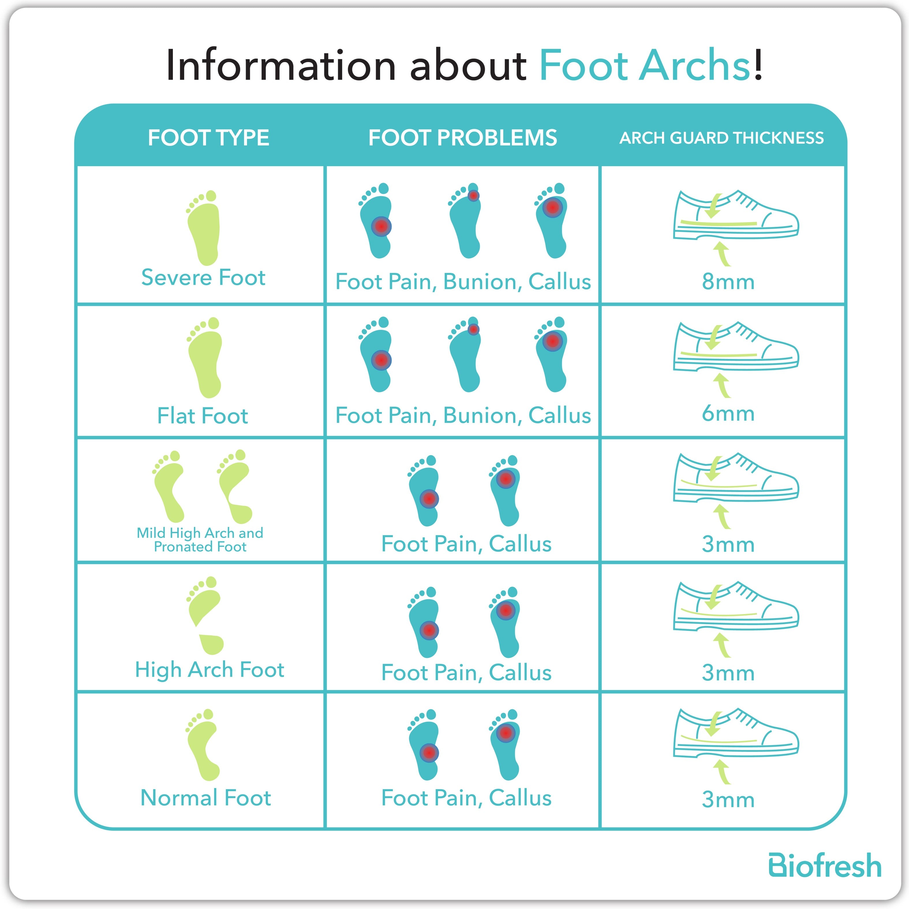 Biofresh Arch Guard Insole for Flat Foot 1 pair FLAGF / FMAGF