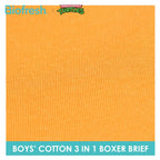 Biofresh | TMNT Boys’ Antimicrobial Cotton Boxer Brief 3 pieces in a pack NTBBBG532