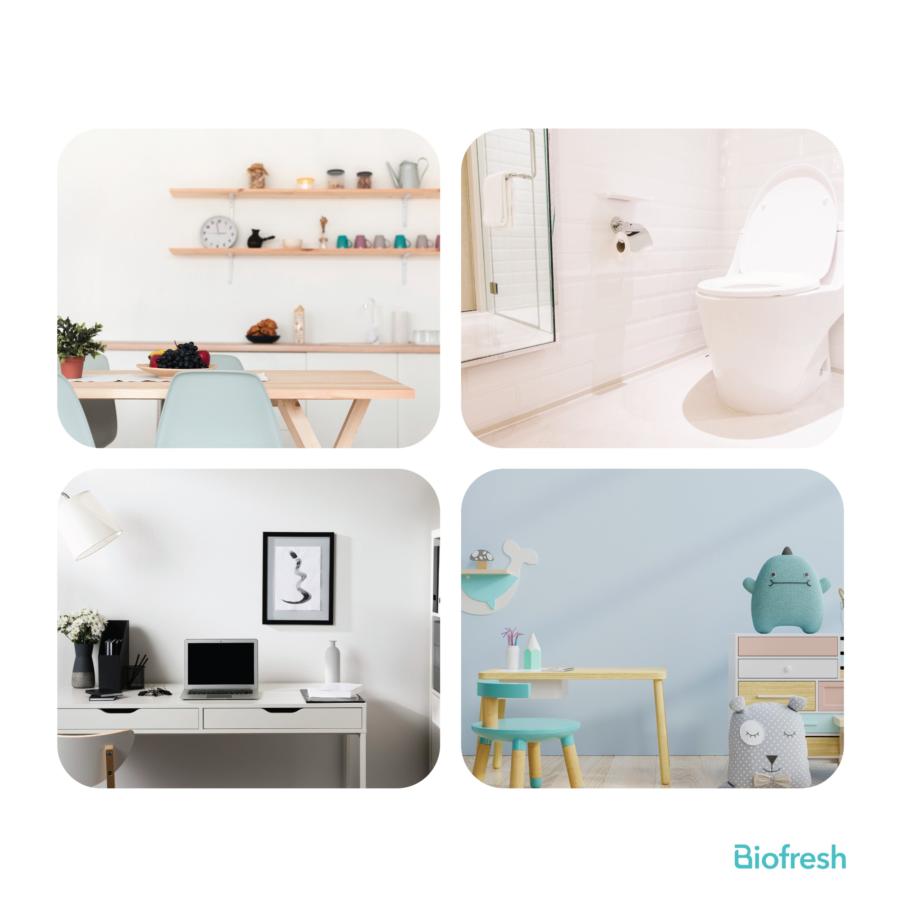 Biofresh Home RHMDS0401 Disinfectant Spray (4819930447977)