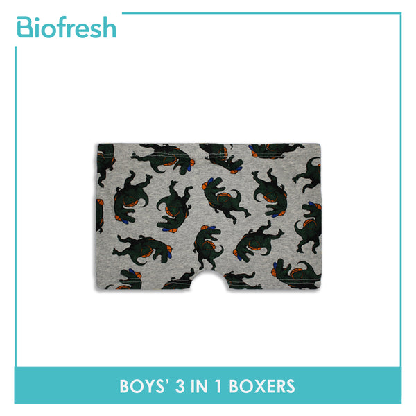Biofresh Boys' Antimicrobial Boxer Briefs 3 pieces in a pack UCBBG2102