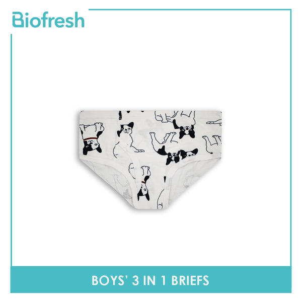 Biofresh Boys' Antimicrobial Briefs 3 pieces in a pack UCBCG2301